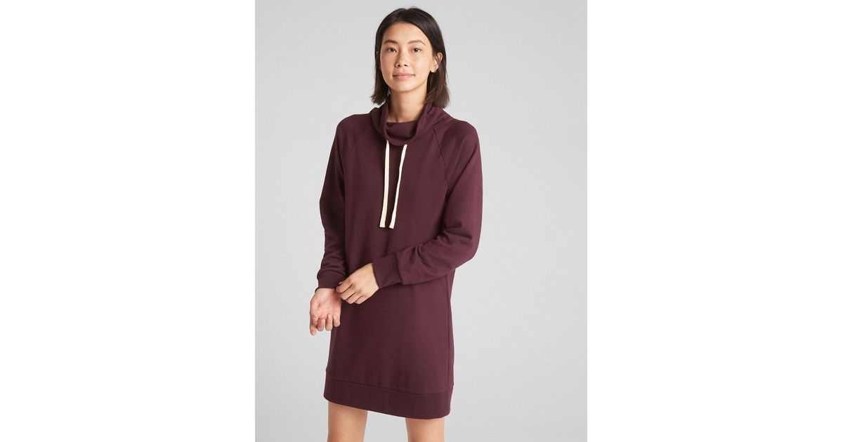 gap funnel neck sweatshirt dress
