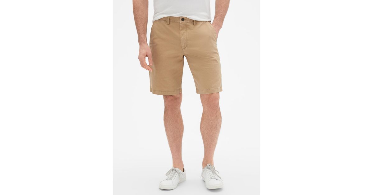 gap lived in straight khaki