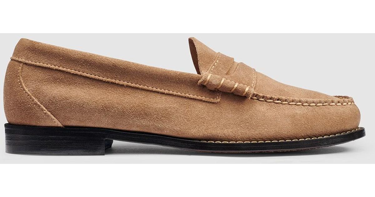 larson weejuns sneaker