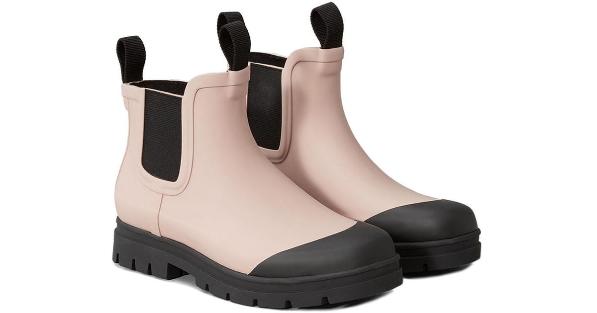 everlane the rain boot