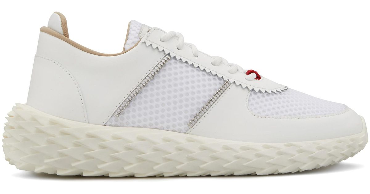 urchin giuseppe zanotti