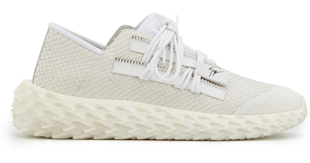 urchin giuseppe zanotti