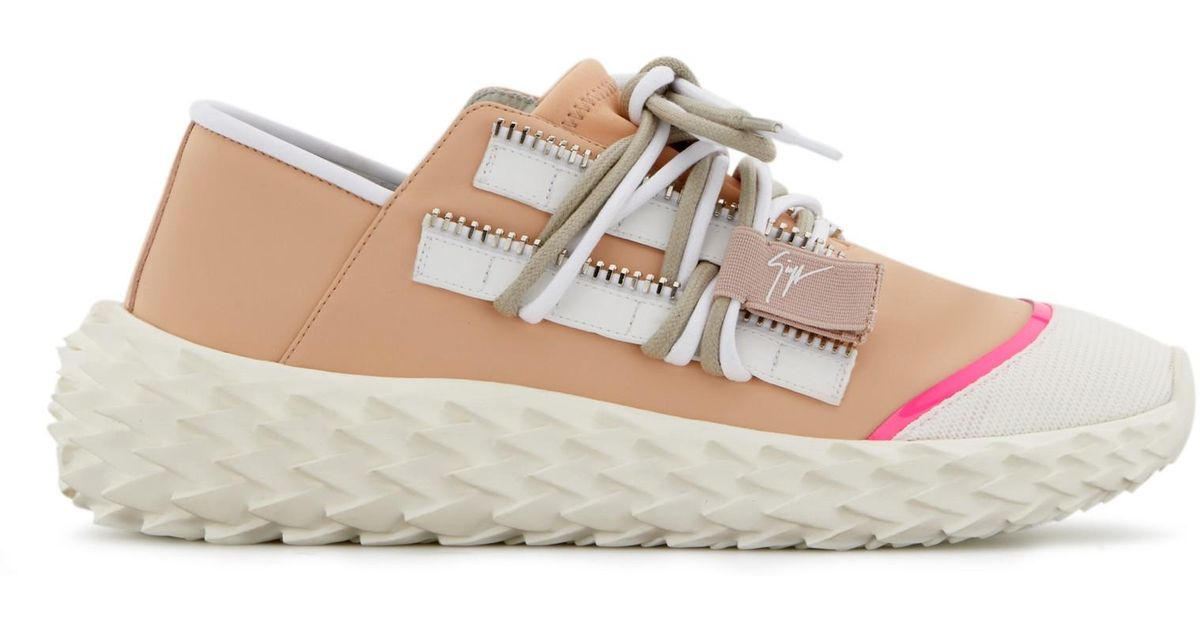 shoes for sea urchins