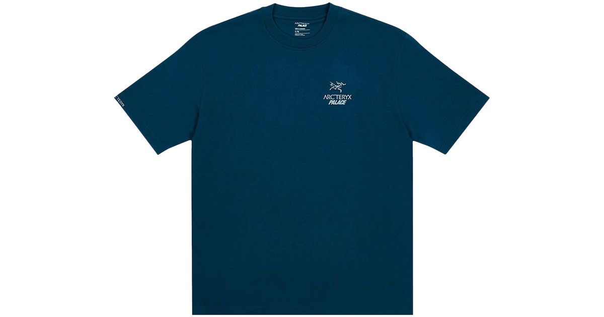 Palace X Arc'teryx T-shirt 'teal' in Blue for Men | Lyst