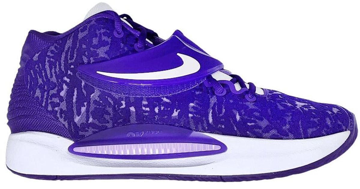 kd 12 purple