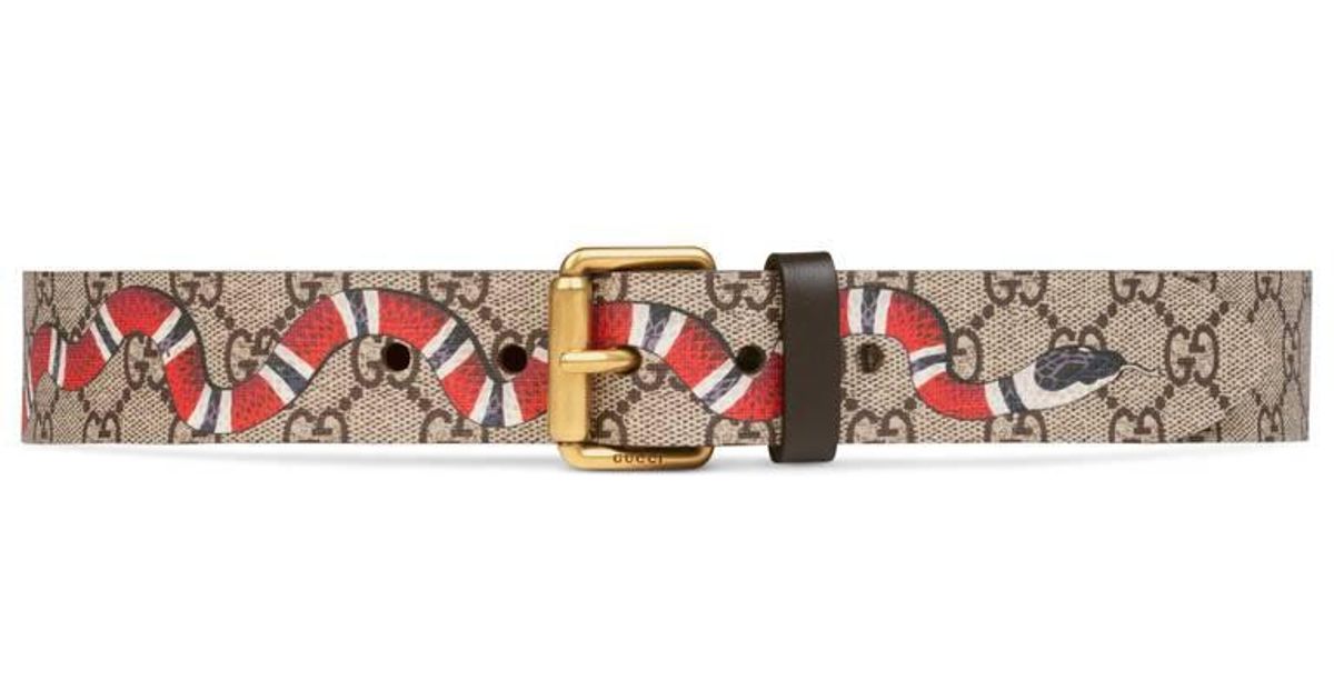 gucci snake print gg supreme belt