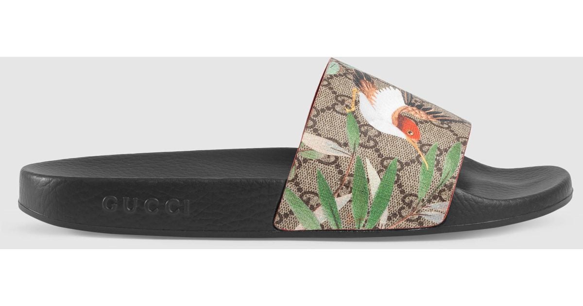 gucci hummingbird slides