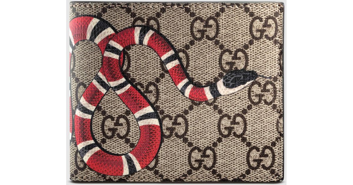 Cintura gucci serpente corallo hot sale