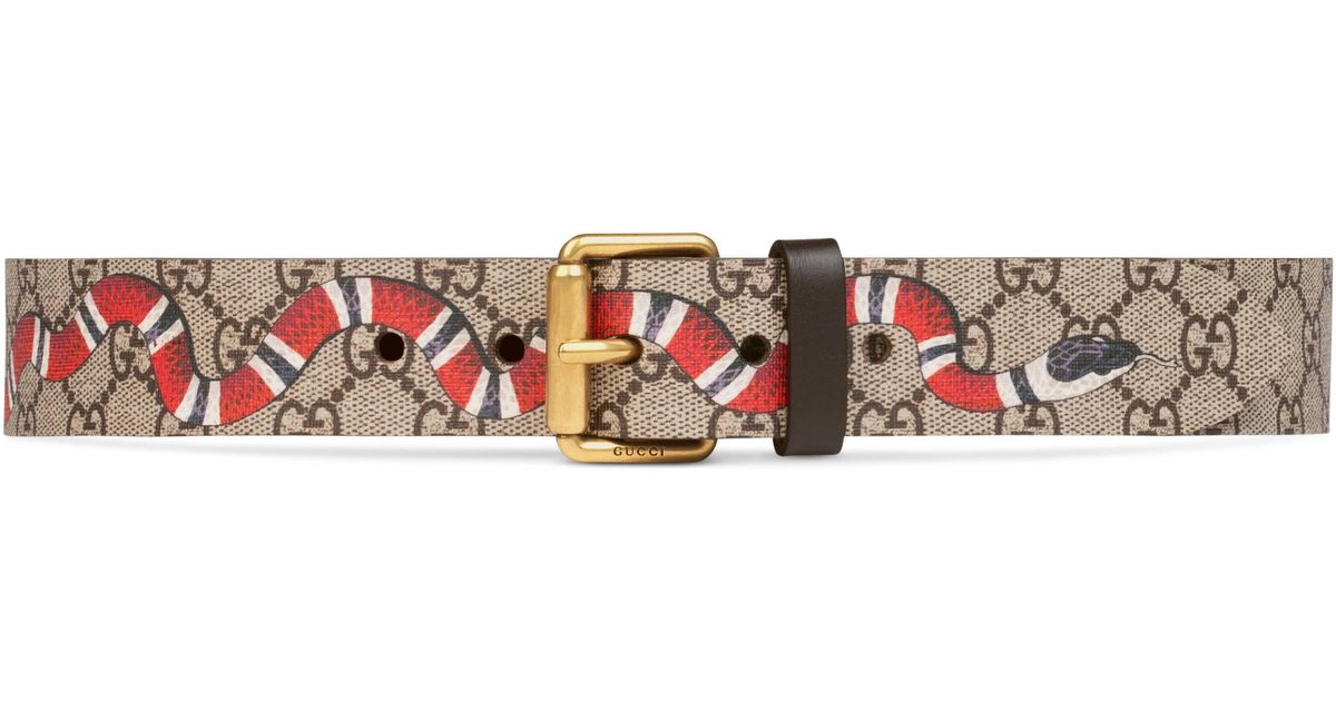 gucci kingsnake belt