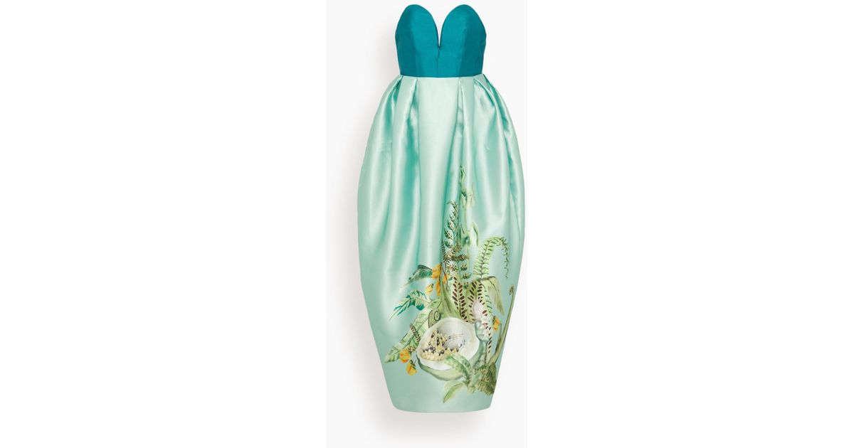 knee length dresses for ladies Alemais Anita Gown in Mint (TS) – Hampden Clothing