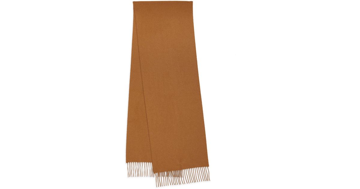Johnstons of Elgin Cashmere Vicuna Scarf in Brown Lyst