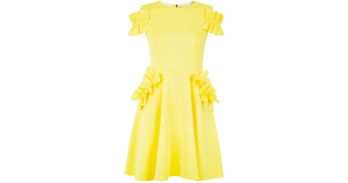 ted baker deneese dress