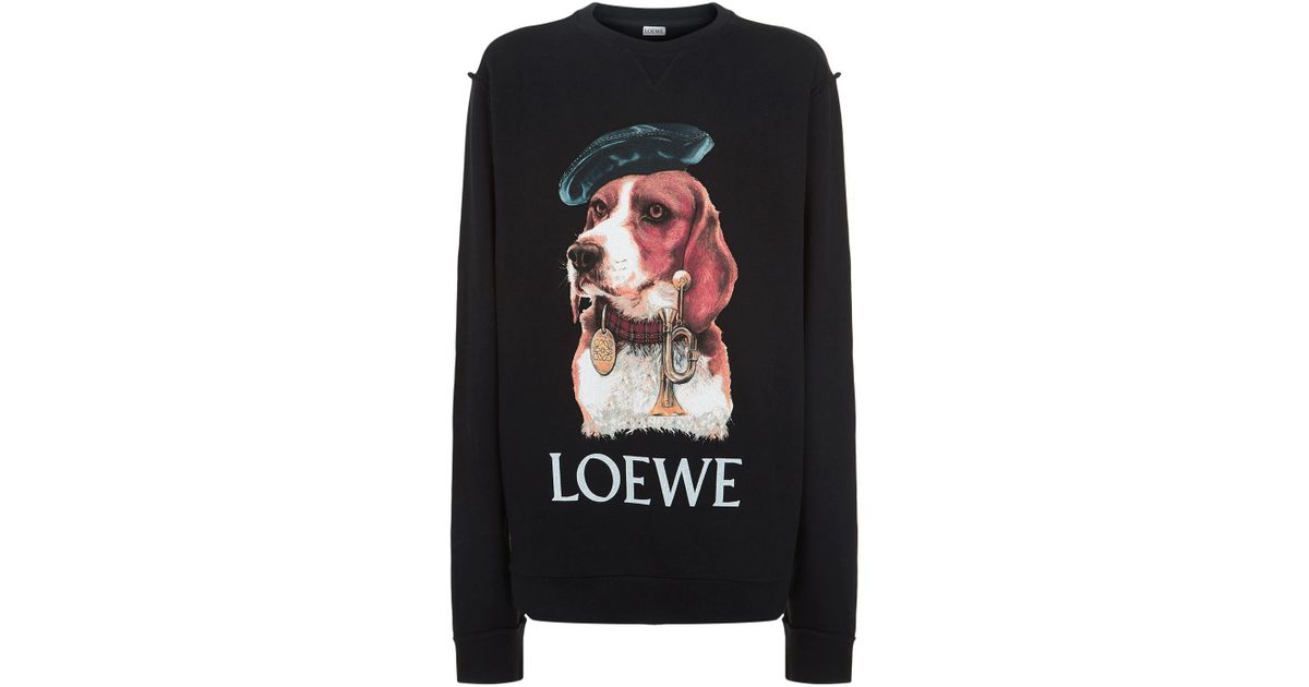 loewe dog sweater