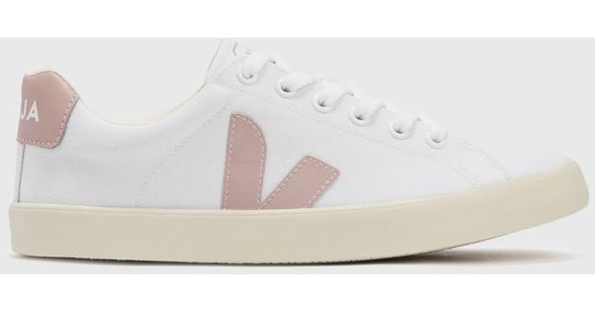 esplar canvas