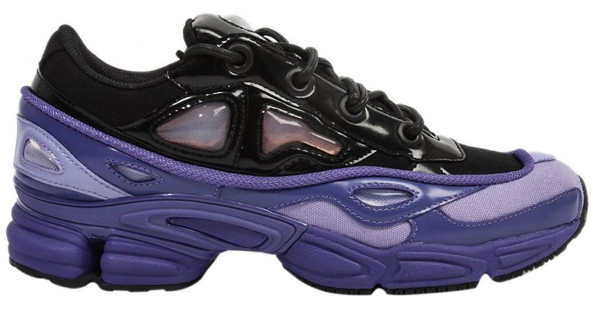 purple raf simons ozweego