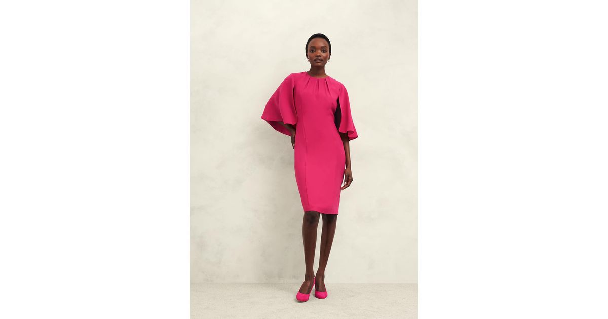 Hobbs zinnia velvet dress hotsell