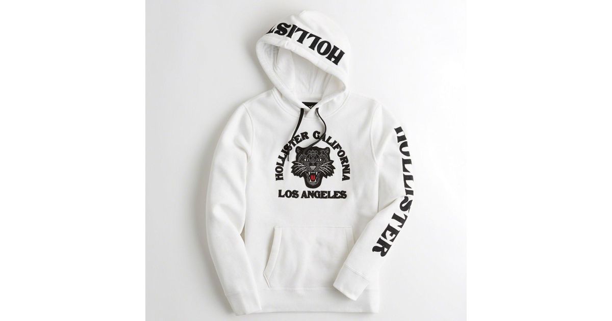 guys hoodies hollister