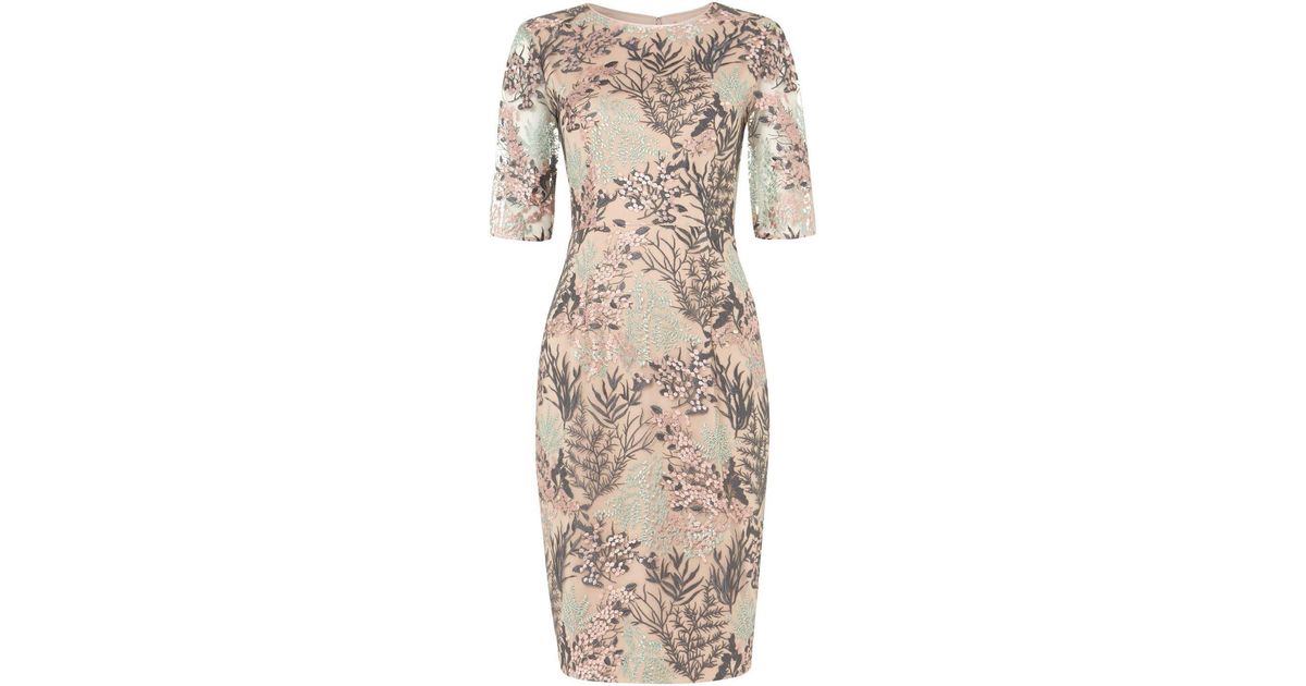 phase eight fern lace dress
