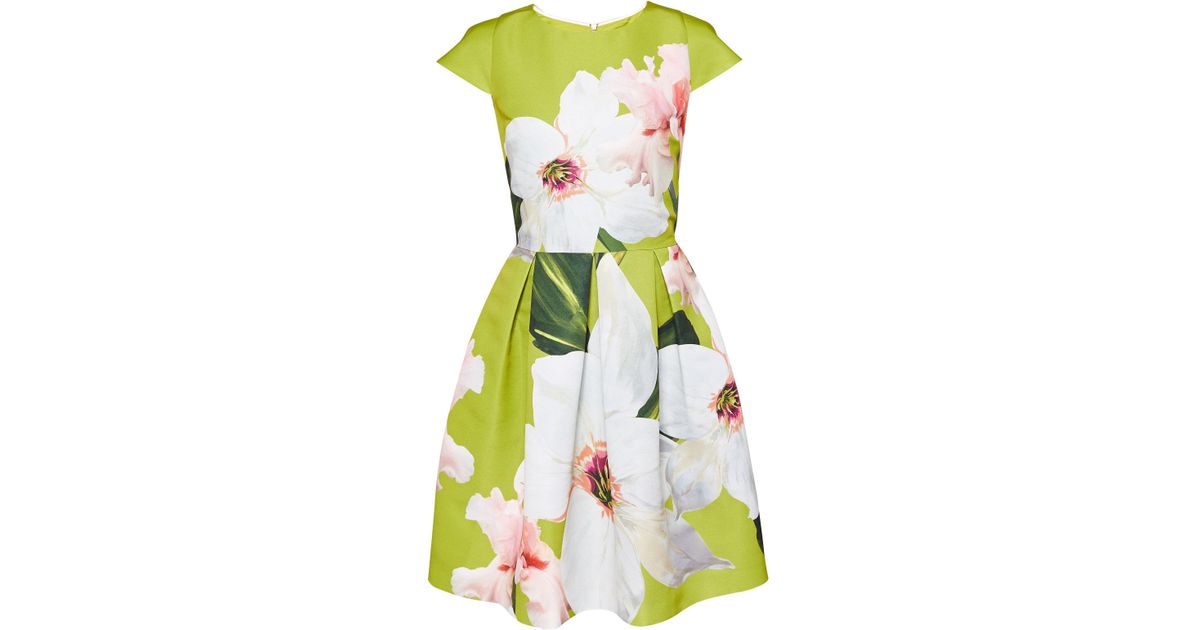 lynetta chatsworth bloom skater dress