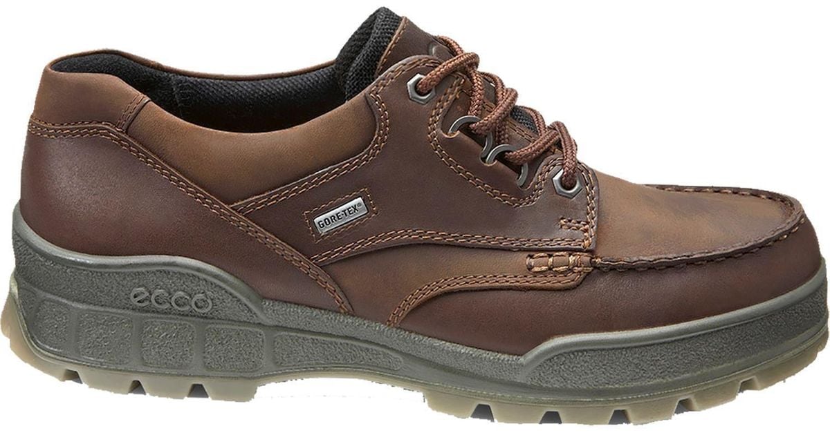 Ecco 's Wide Fit Track 25 831714 Goretex Walking Shoes in Brown for