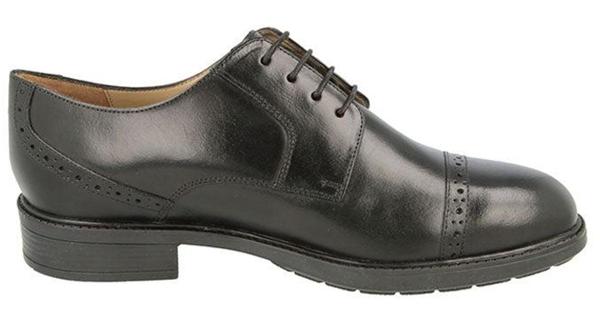 DB Shoes Leather S Wide Fit Db Bedford Shoes in Black | Lyst UK