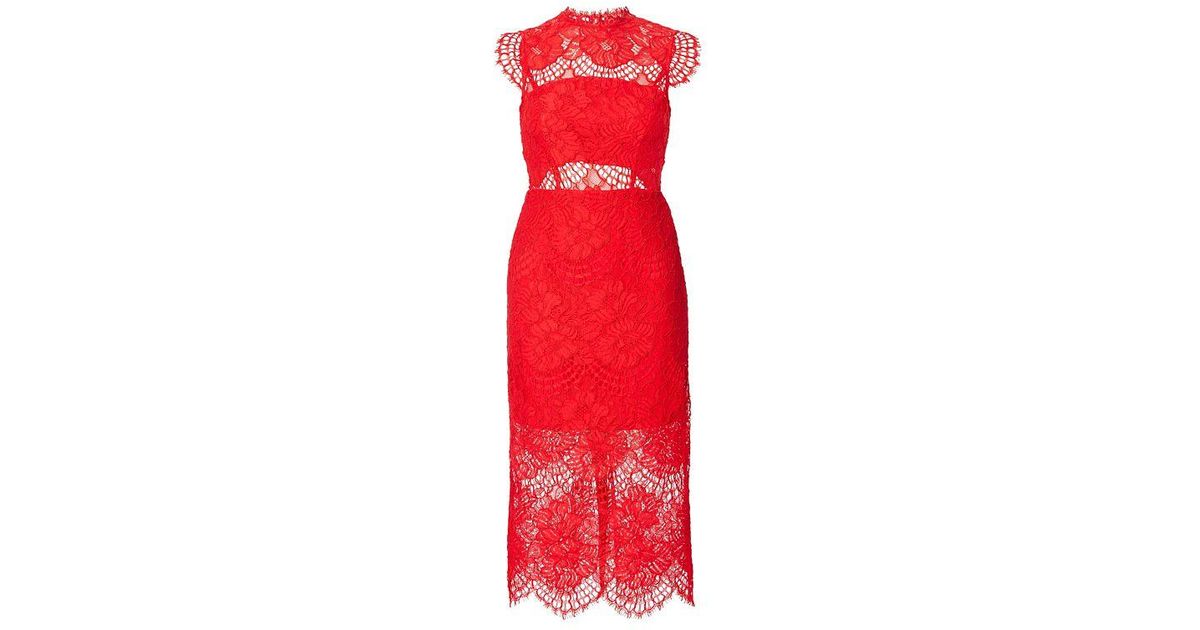 lila lace dress