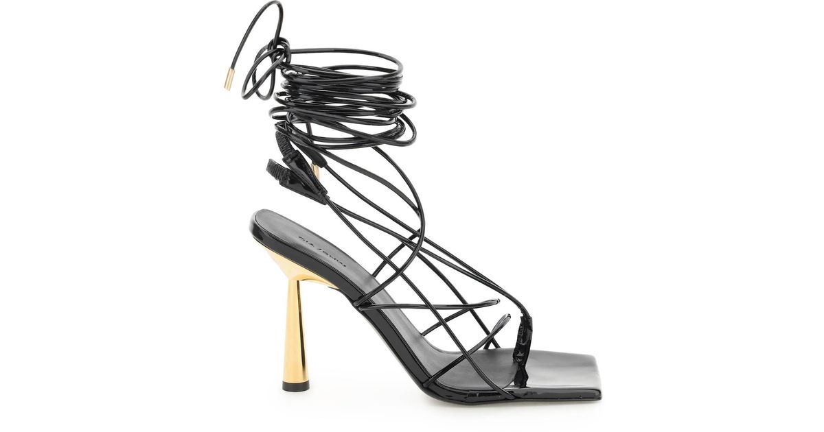 gia rhw rosie