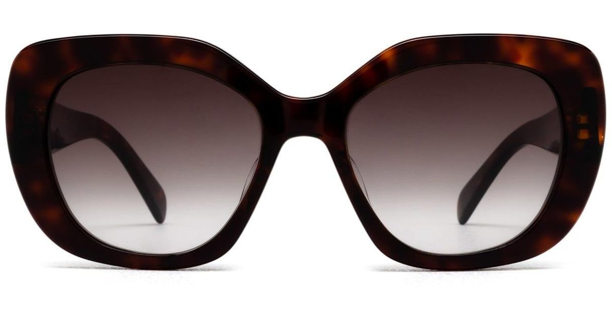 Celine Cl40226u Havana Sunglasses in Black Lyst