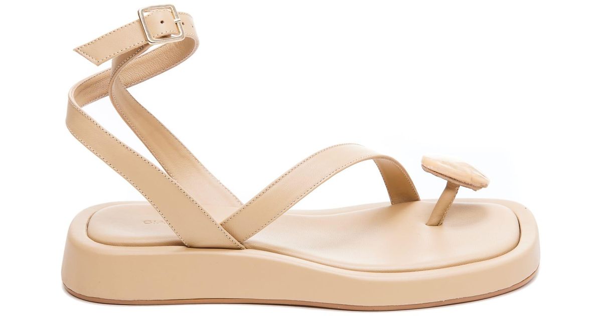 gia rhw rosie