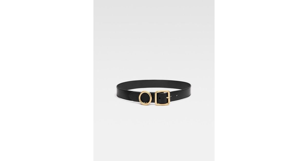 La Ceinture Regalo Belt