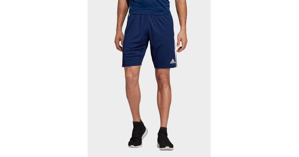 adidas tiro 19 training shorts
