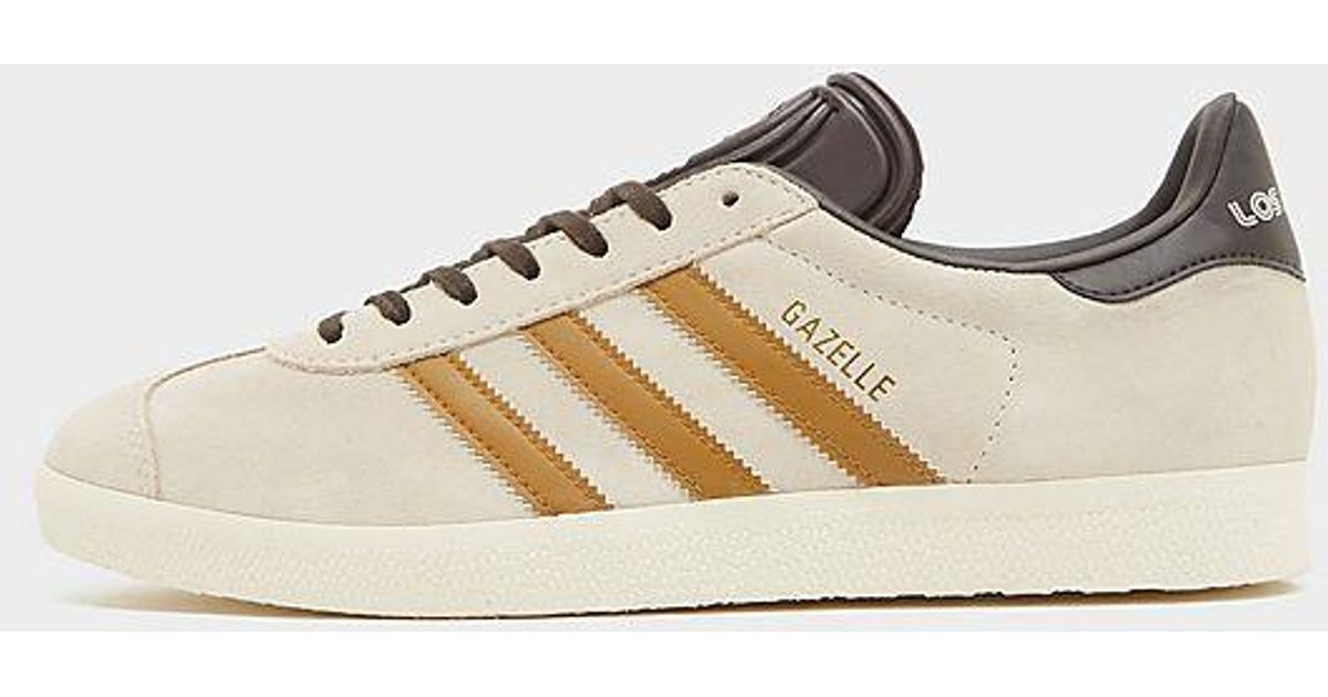 gazelle ocre