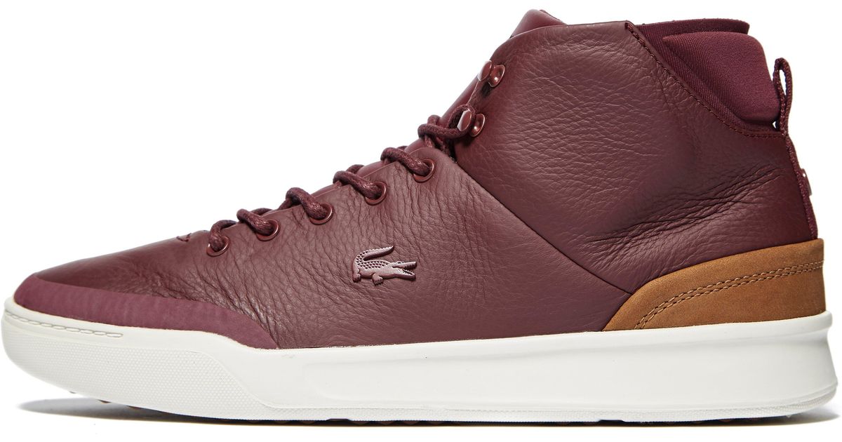 lacoste high tops