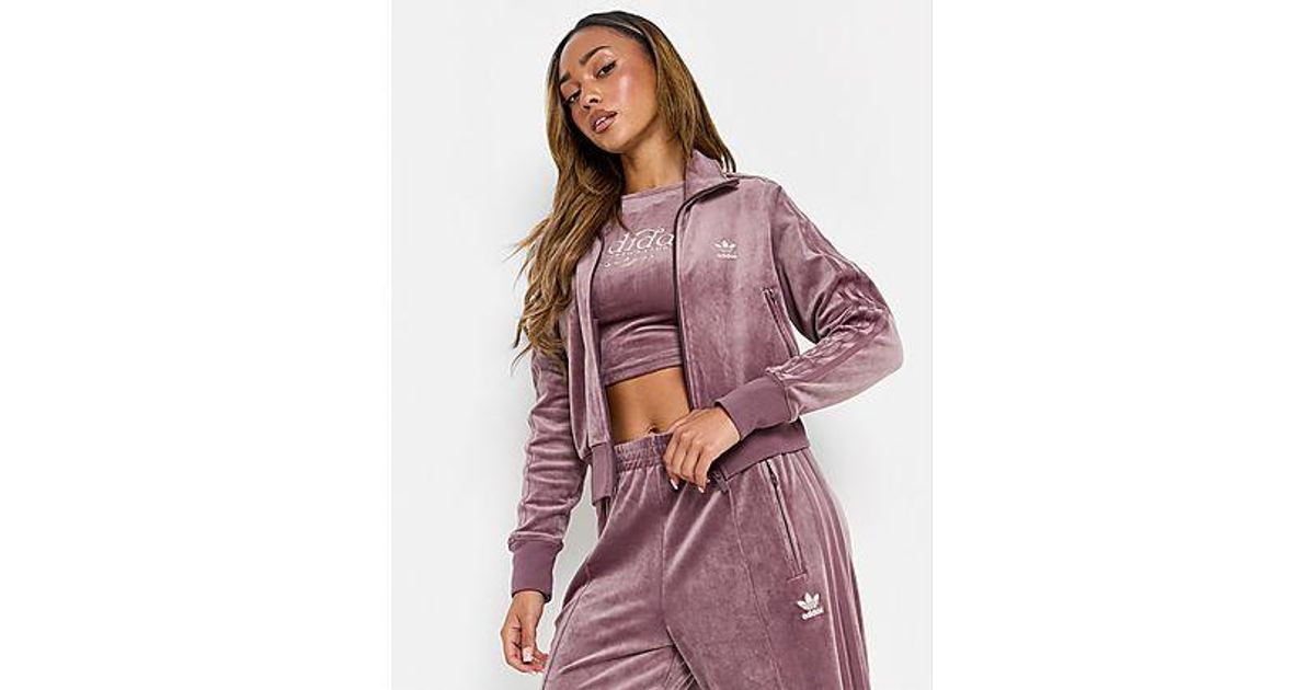 purple velvet adidas tracksuit
