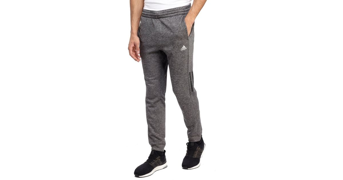 adidas Synthetic Mct Poly Pants in Grey 