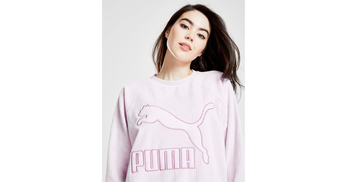 aspca sweatshirt