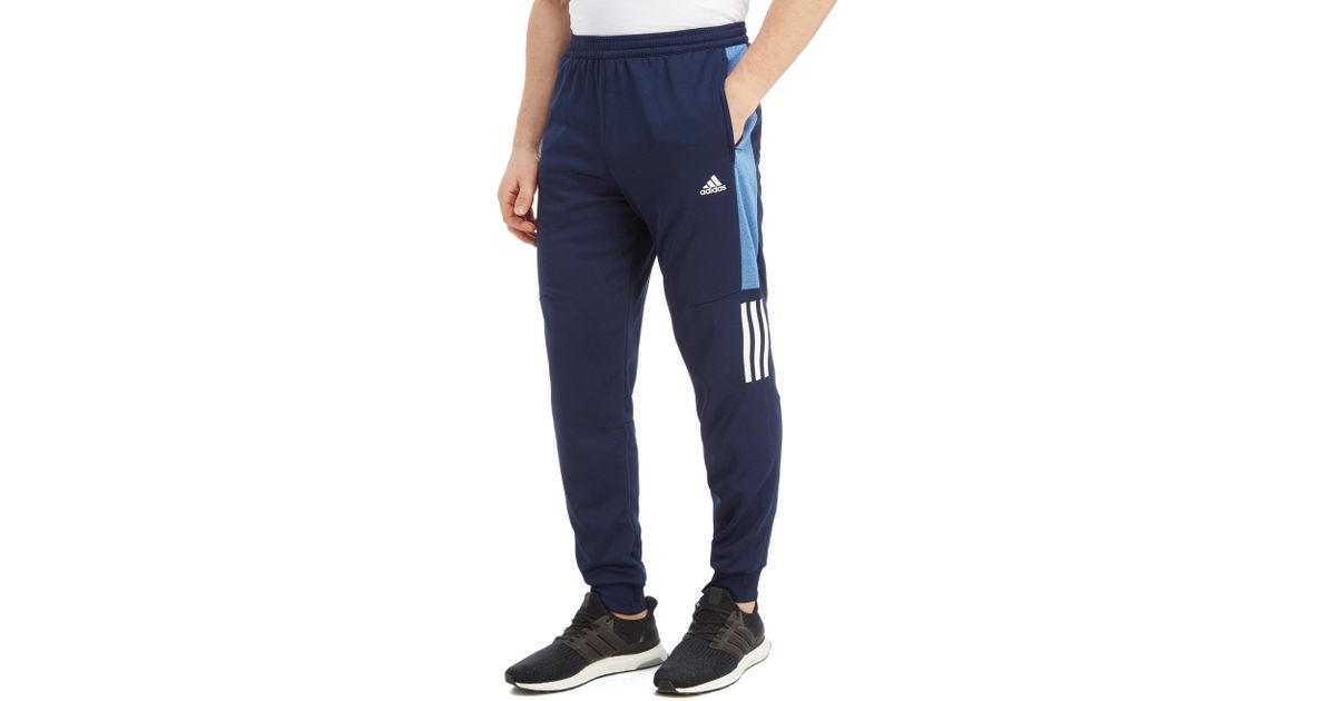 adidas Synthetic Speed Poly Pants in 