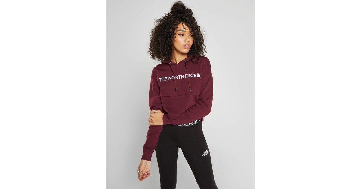 the north face cropped hoodie
