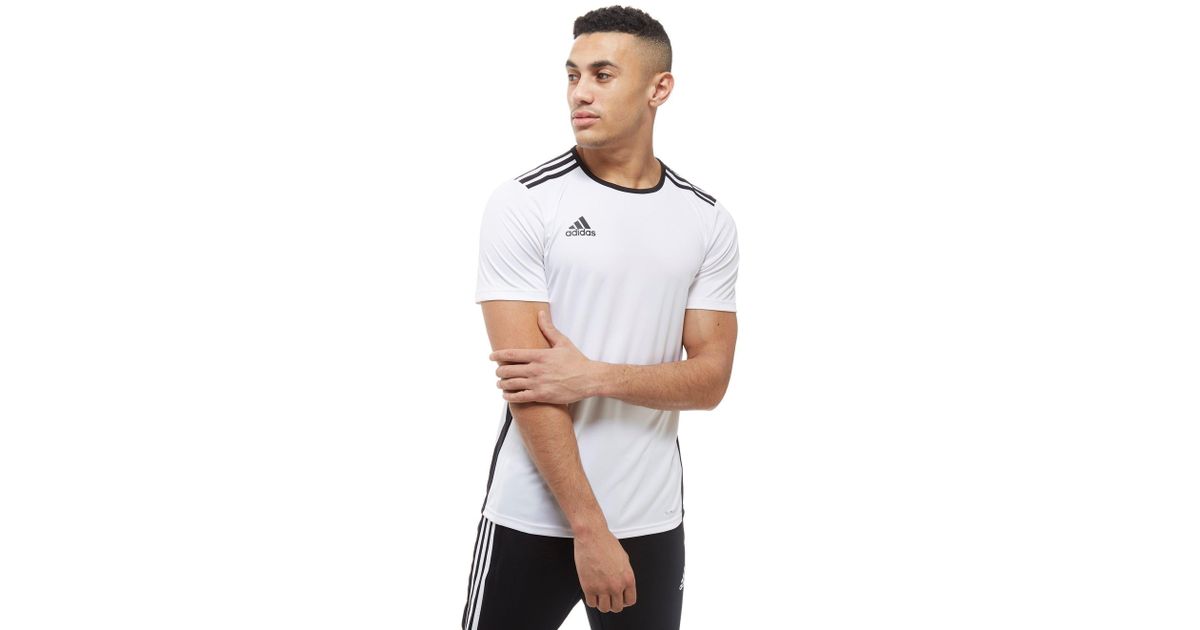 adidas entrada tee