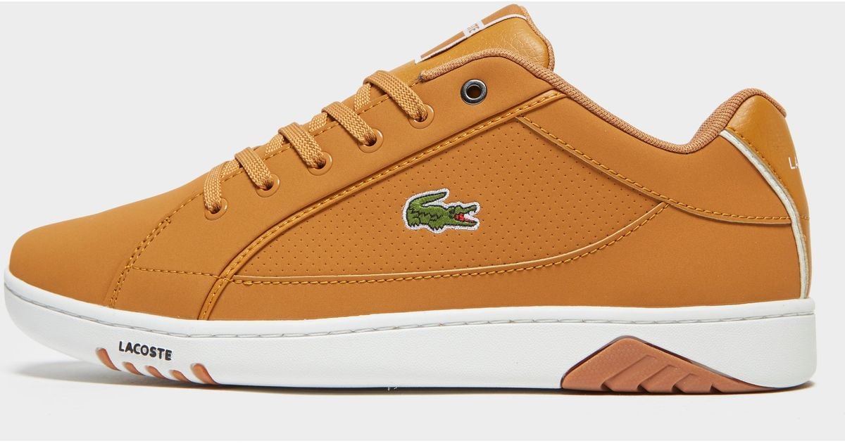 lacoste deviation ii brown off 58 