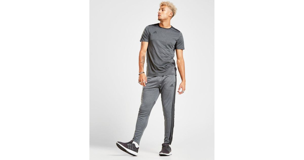 adidas tango track pants