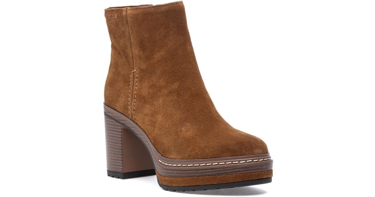 steve madden shaniya brown suede