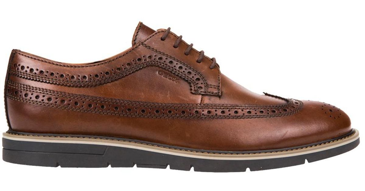 geox derby