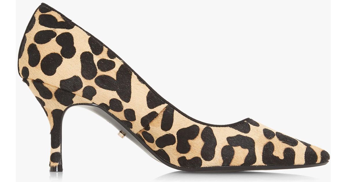 dune anncona leopard