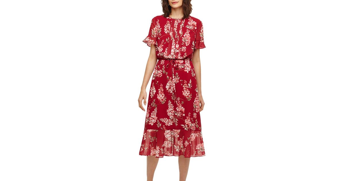 phase eight helia dress