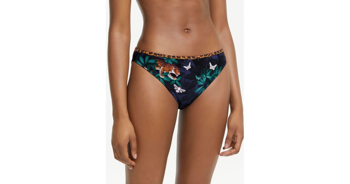 ted baker houdini bikini