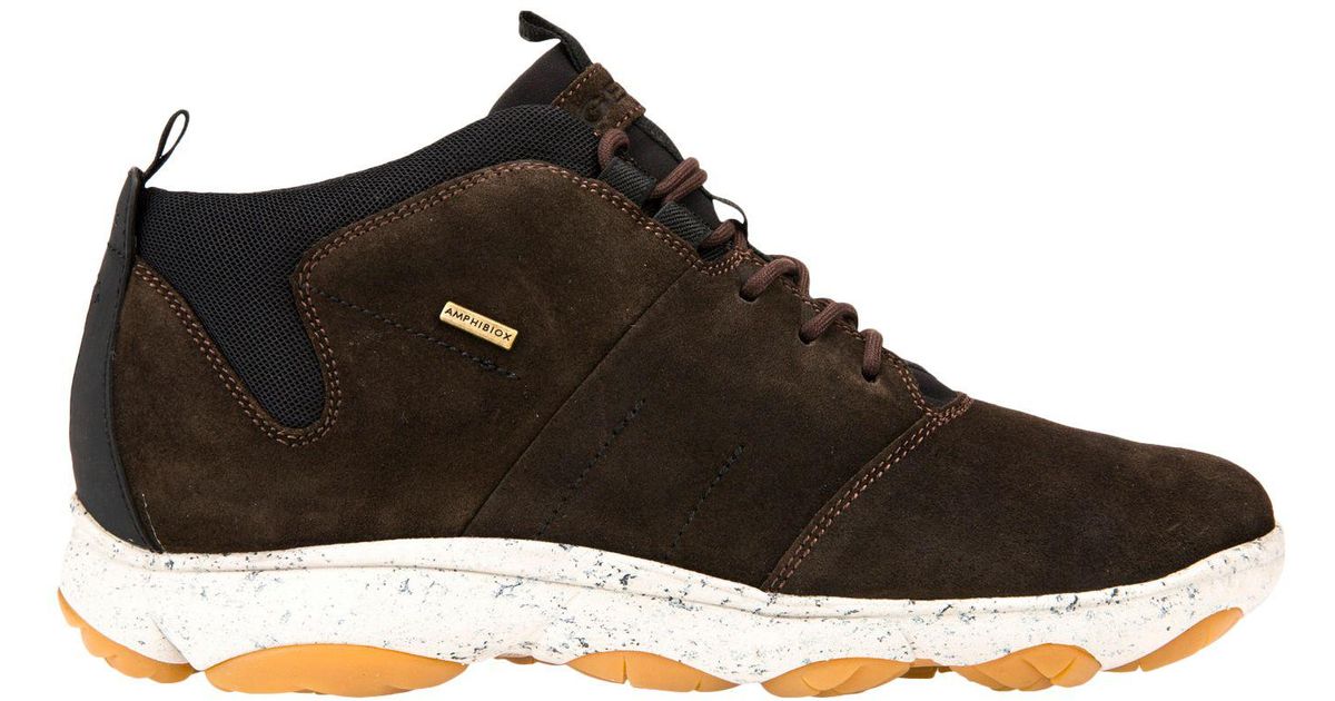 geox amphibiox nebula