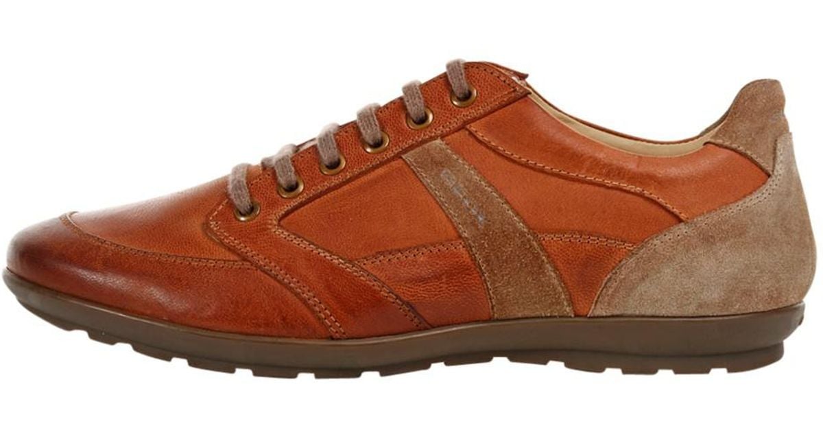 Geox Brown Symbol Leather Trainers for Men Lyst Geox Brown Symbol Leather Trainers for Men Lyst