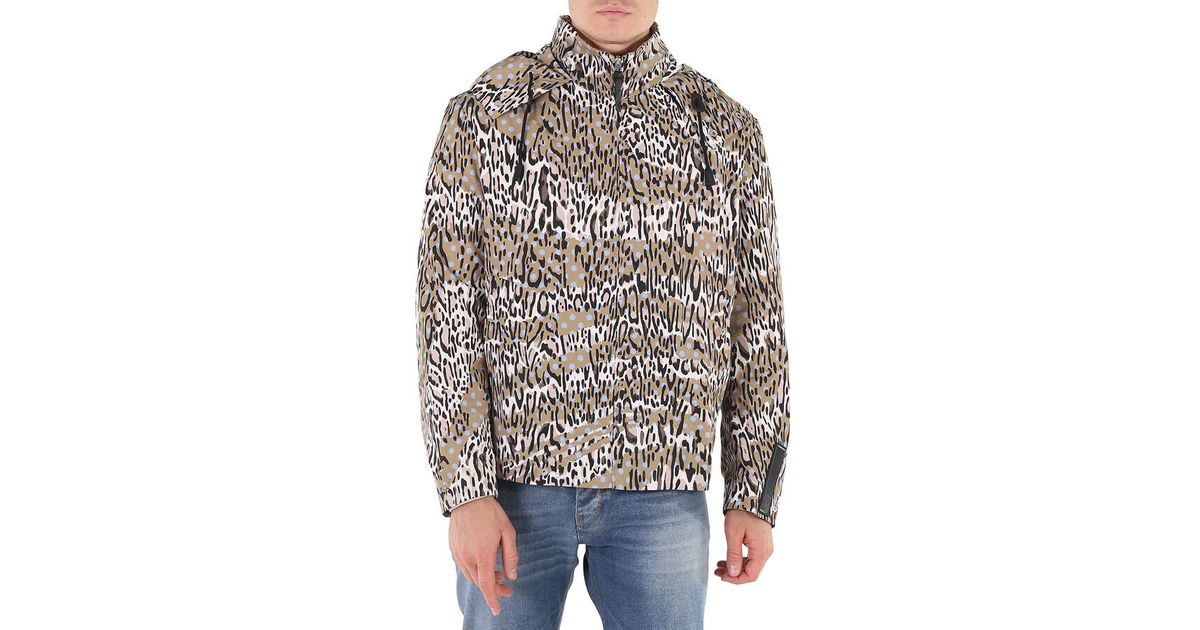 Roberto Cavalli Animal Oddity print Windbreaker Jacket in Black for Men Lyst UK