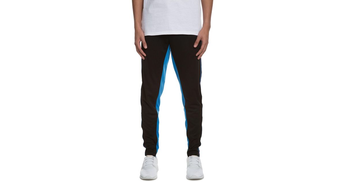 pink dolphin jogging suit